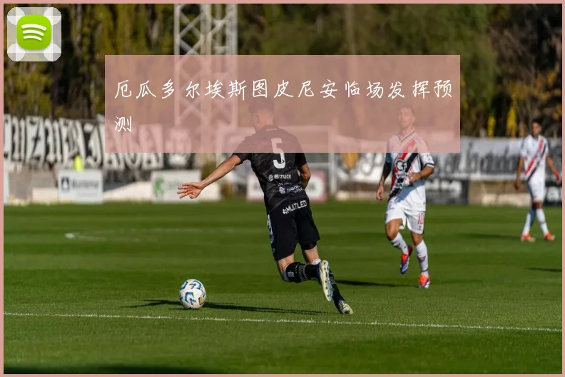 厄瓜多尔埃斯图皮尼安临场发挥预测