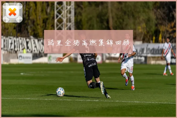 诺里全场高燃集锦回顾