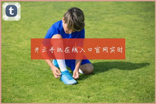 开云手机在线入口官网实时
