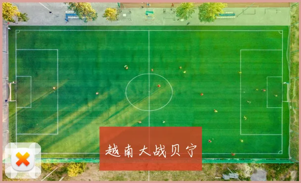 越南大战贝宁