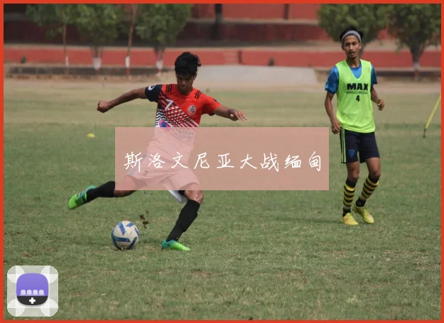 斯洛文尼亚大战缅甸