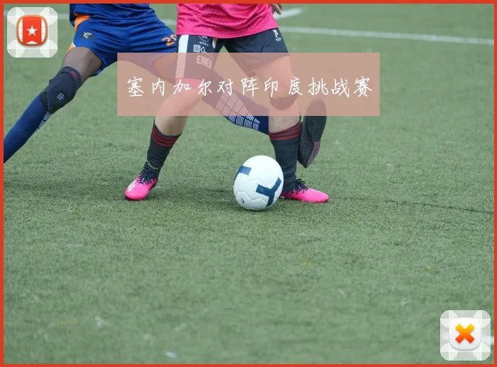 塞内加尔对阵印度挑战赛
