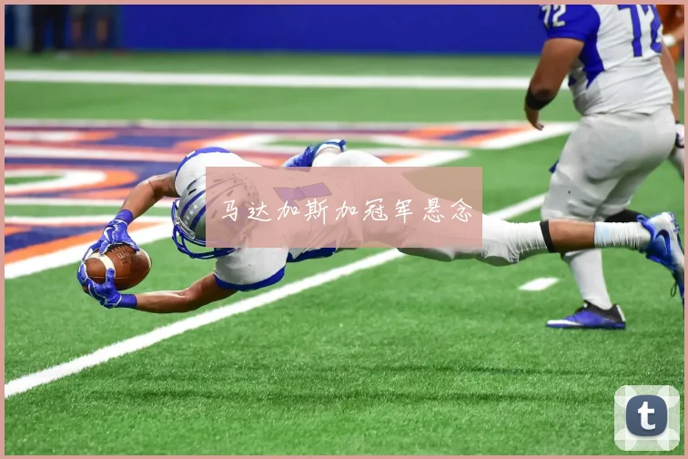 马达加斯加冠军悬念