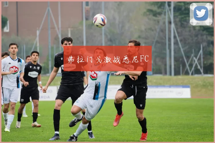 弗拉门戈激战悉尼FC