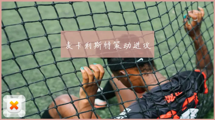 麦卡利斯特策动进攻