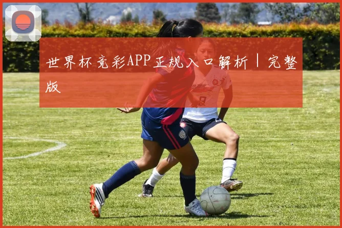 世界杯竞彩APP正规入口解析｜完整版