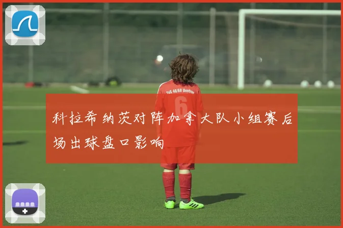 科拉希纳茨对阵加拿大队小组赛后场出球盘口影响
