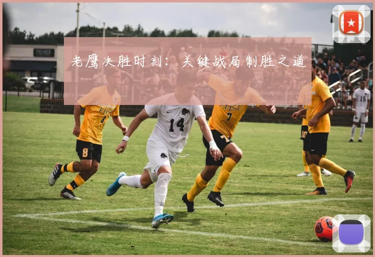 老鹰决胜时刻：关键战局制胜之道