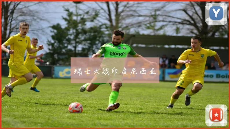 瑞士大战印度尼西亚