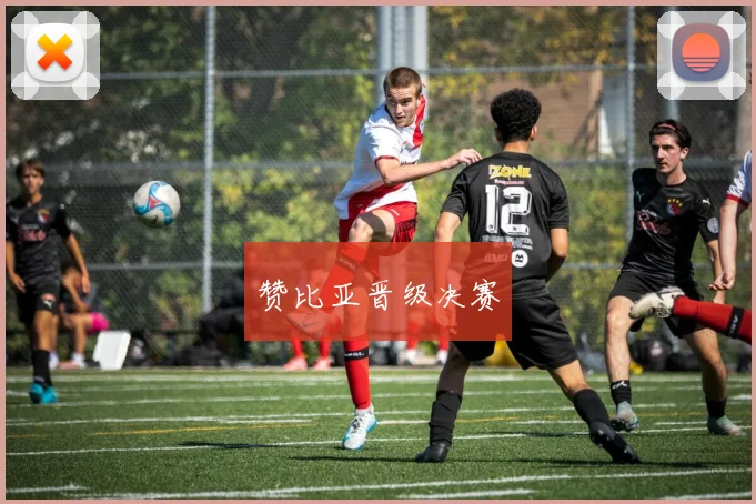 赞比亚晋级决赛
