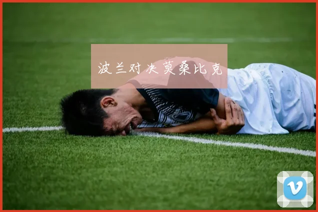 波兰对决莫桑比克