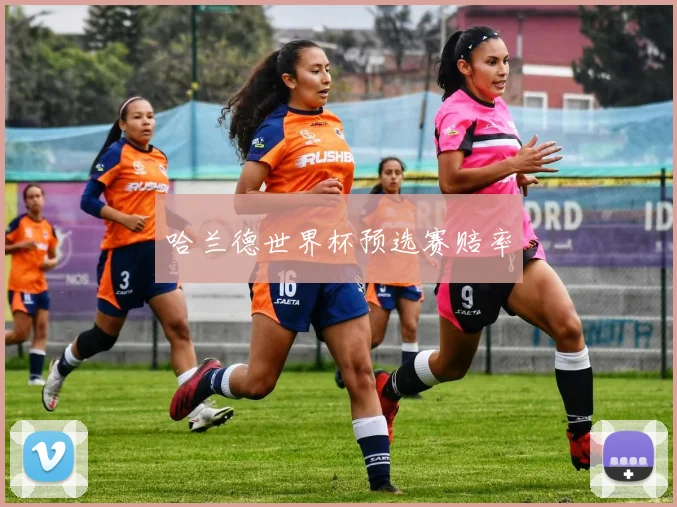 哈兰德世界杯预选赛赔率