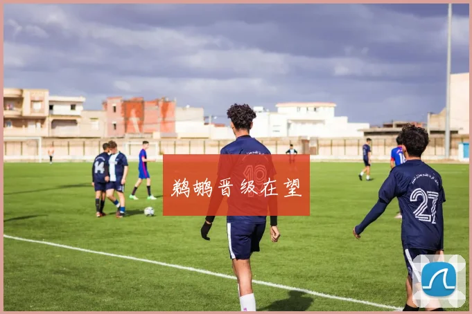 鹈鹕晋级在望