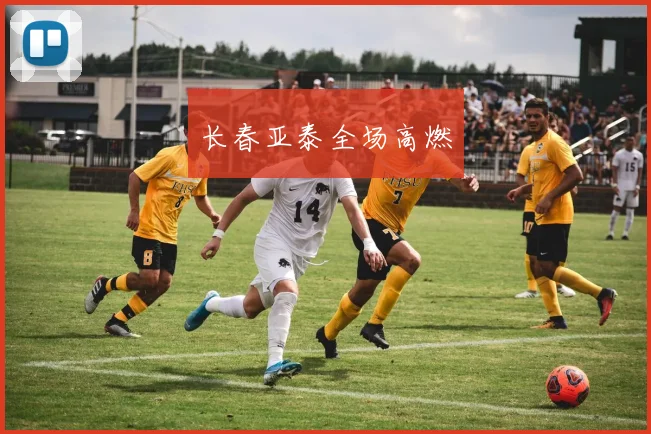 长春亚泰全场高燃