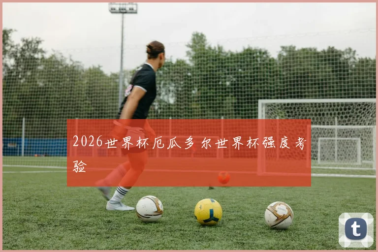 2026世界杯厄瓜多尔世界杯强度考验