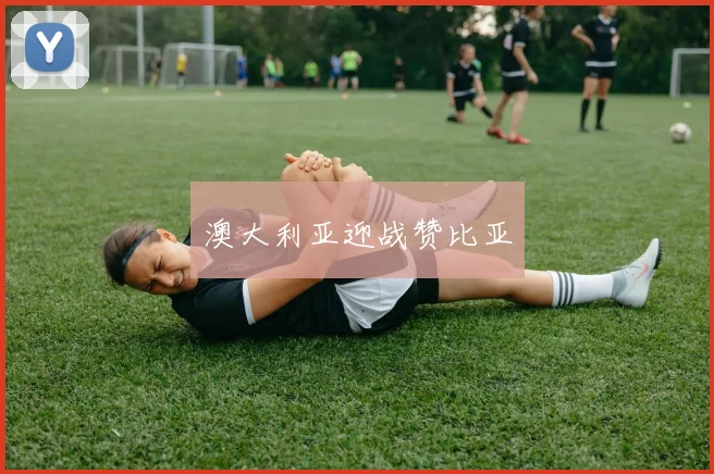 澳大利亚迎战赞比亚