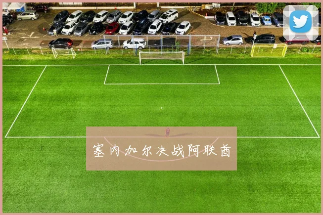 塞内加尔决战阿联酋