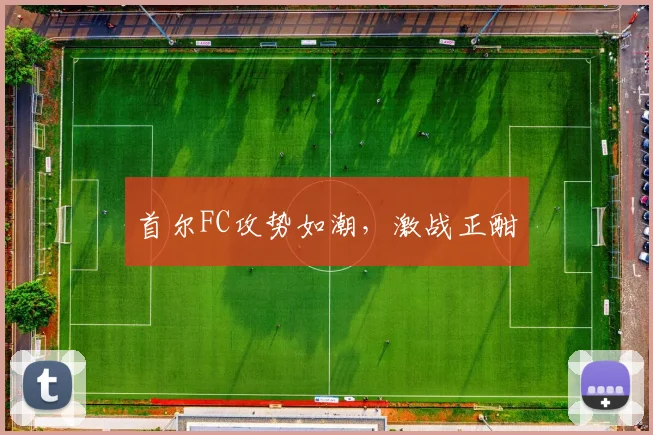 首尔FC攻势如潮，激战正酣