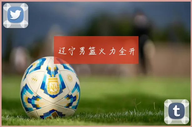 辽宁男篮火力全开
