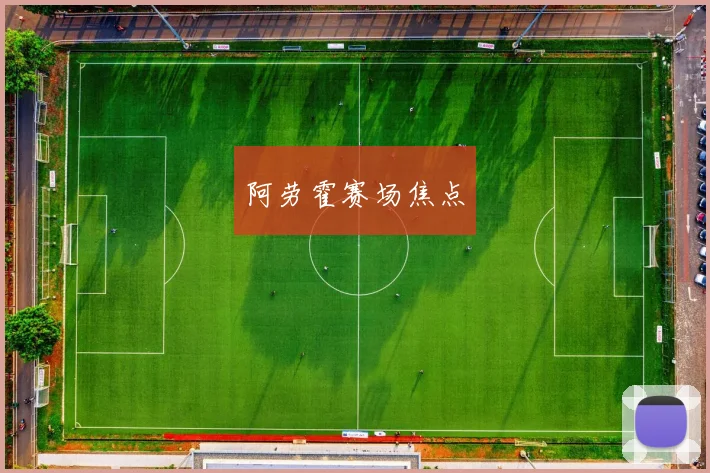 阿劳霍赛场焦点