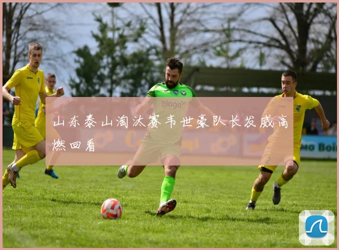 山东泰山淘汰赛韦世豪队长发威高燃回看
