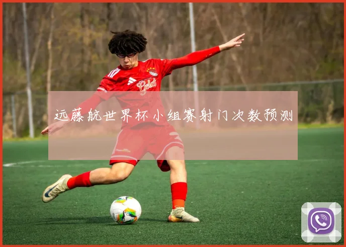 远藤航世界杯小组赛射门次数预测