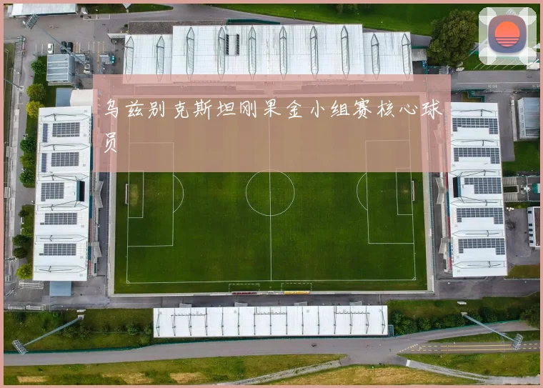 乌兹别克斯坦刚果金小组赛核心球员