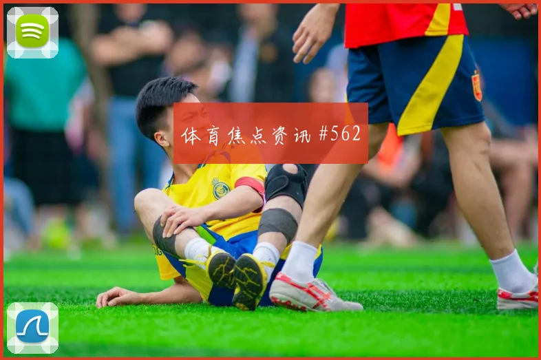 D组土耳其vs澳大利亚防线压力